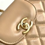 Chanel MINI SHOPPINGBAG Shiny Aged Calfskin LB14373 (5)