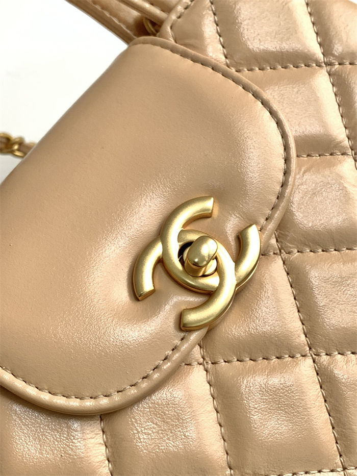 Chanel MINI SHOPPINGBAG Shiny Aged Calfskin LB14373 (5)