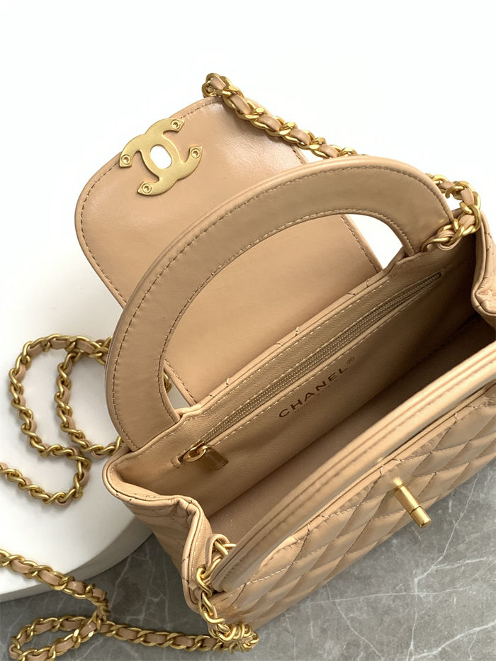 Chanel MINI SHOPPINGBAG Shiny Aged Calfskin LB14373 (6)