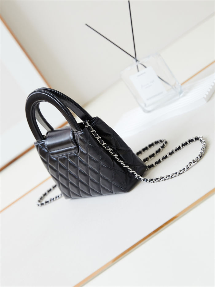 Chanel MINI SHOPPINGBAG Shiny Aged Calfskin LB14870 (4)