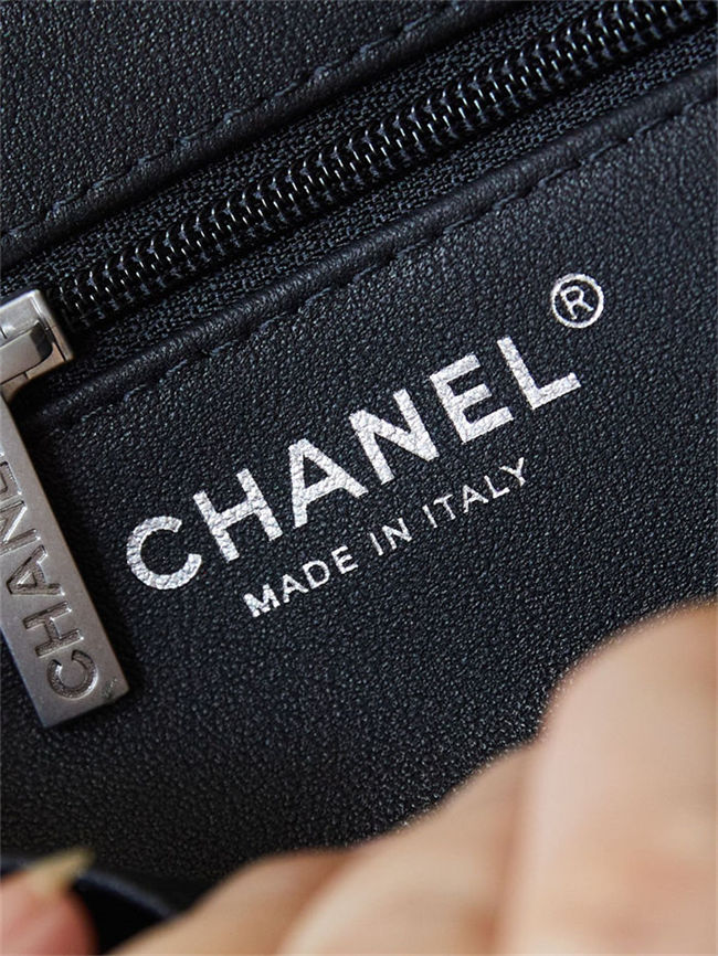 Chanel MINI SHOPPINGBAG Shiny Aged Calfskin LB14870 (5)