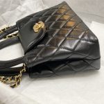 Chanel MINI SHOPPINGBAG Shiny Aged Calfskin LB6685 (3)
