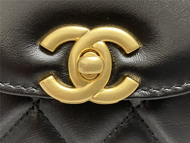Chanel MINI SHOPPINGBAG Shiny Aged Calfskin LB6685 (6)
