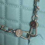 Chanel Mini Backpack Grained Calfskin LB14479 (5)