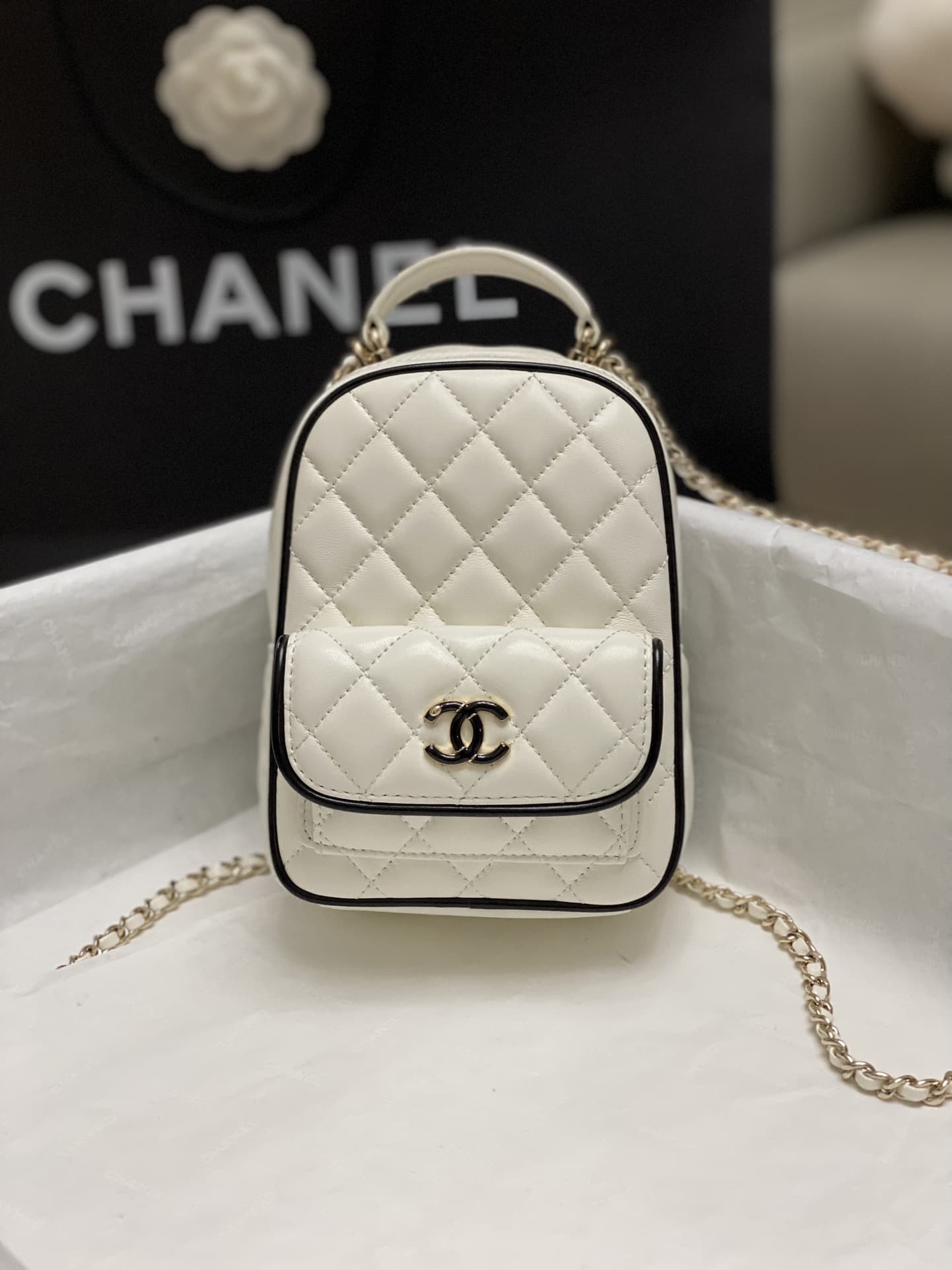 Chanel Mini Backpack Lambskin LB16485 (1)