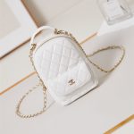 Chanel Mini Backpack Lambskin LB754 (1)