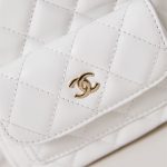 Chanel Mini Backpack Lambskin LB754 (2)