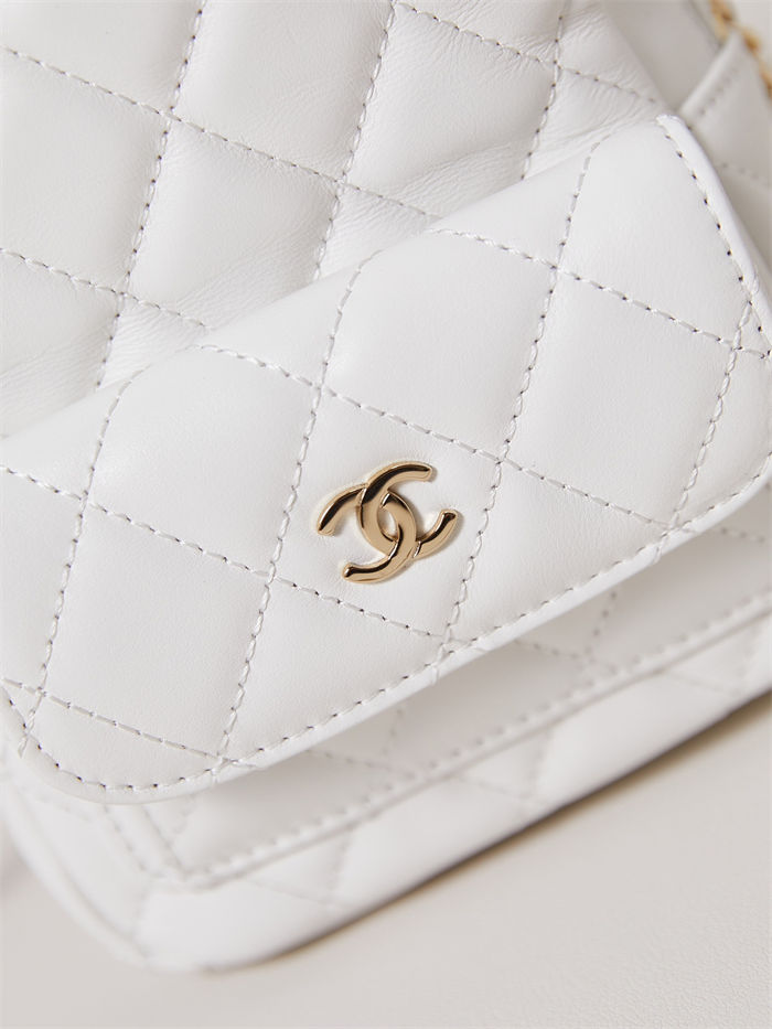 Chanel Mini Backpack Lambskin LB754 (2)