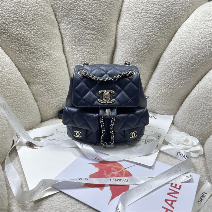 Chanel SMALL BACKPACK Calfskin LB14902 (1)