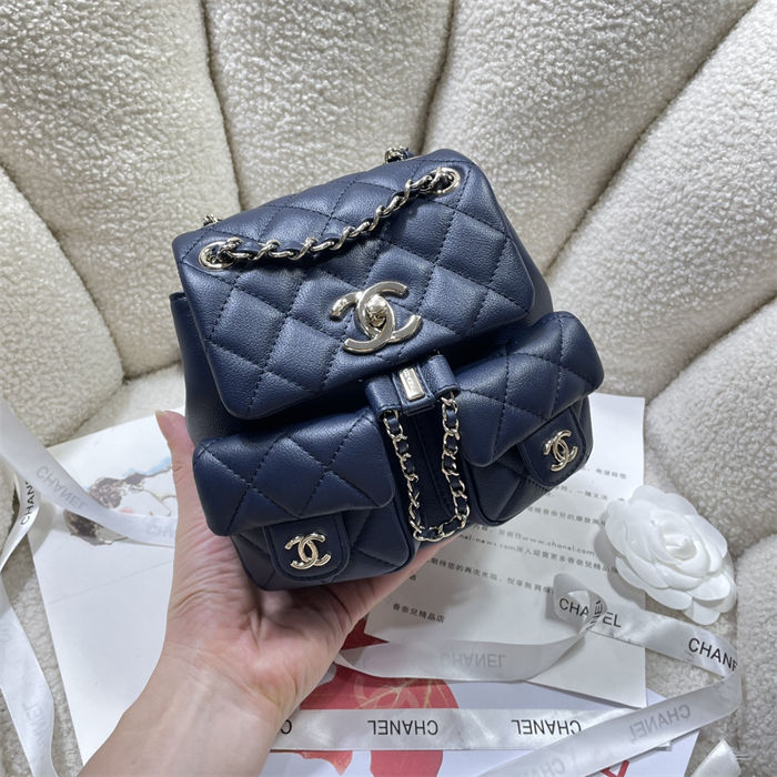 Chanel SMALL BACKPACK Calfskin LB14902 (2)