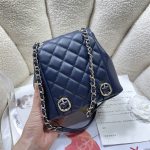 Chanel SMALL BACKPACK Calfskin LB14902 (4)