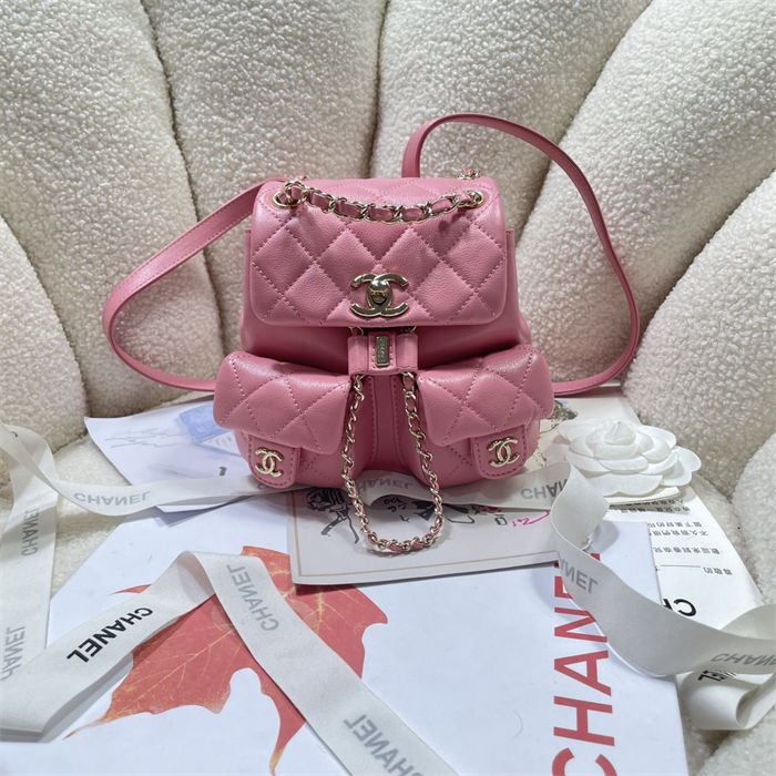 Chanel SMALL BACKPACK Calfskin LB14906 (1)