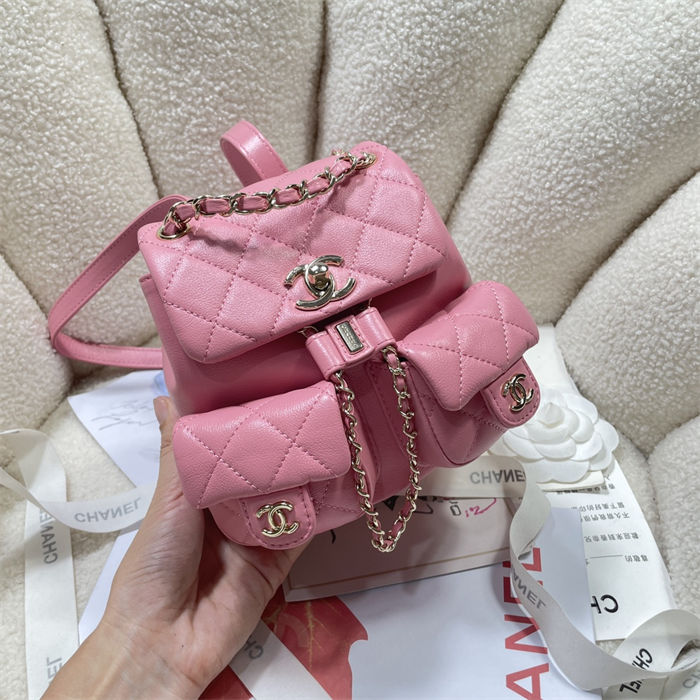 Chanel SMALL BACKPACK Calfskin LB14906 (2)