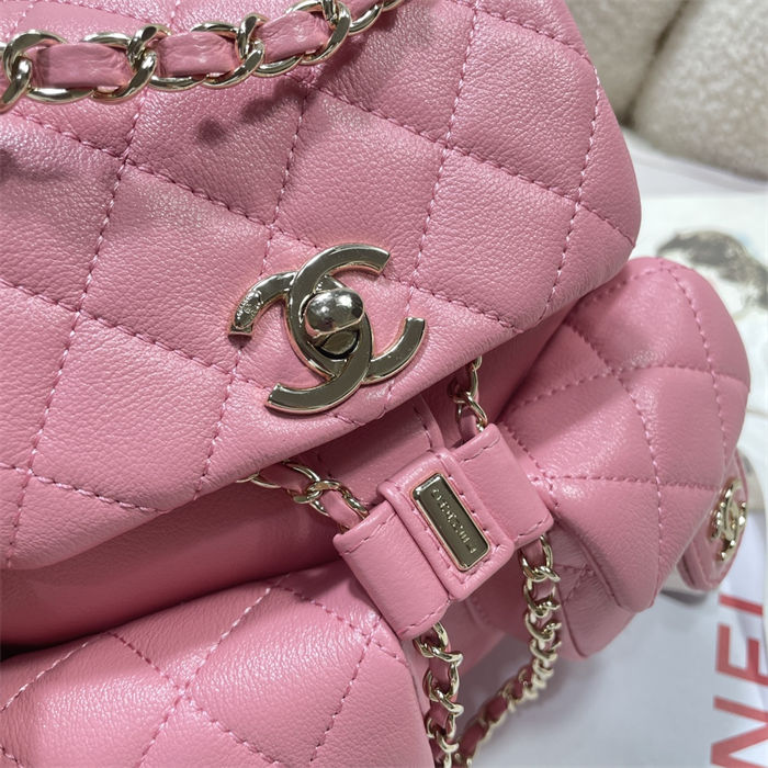 Chanel SMALL BACKPACK Calfskin LB14906 (4)