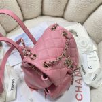 Chanel SMALL BACKPACK Calfskin LB14906 (6)