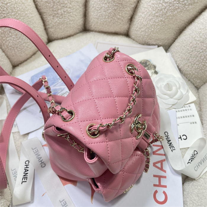 Chanel SMALL BACKPACK Calfskin LB14906 (6)