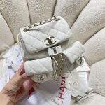 Chanel SMALL BACKPACK Calfskin LB14908 (2)