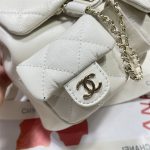 Chanel SMALL BACKPACK Calfskin LB14908 (3)