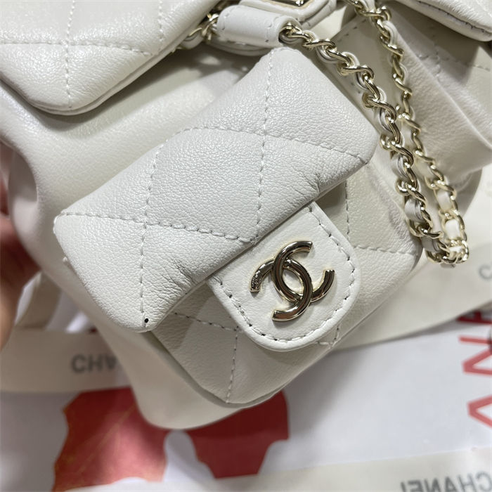 Chanel SMALL BACKPACK Calfskin LB14908 (3)