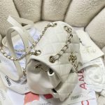 Chanel SMALL BACKPACK Calfskin LB14908 (4)