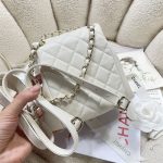 Chanel SMALL BACKPACK Calfskin LB14908 (6)