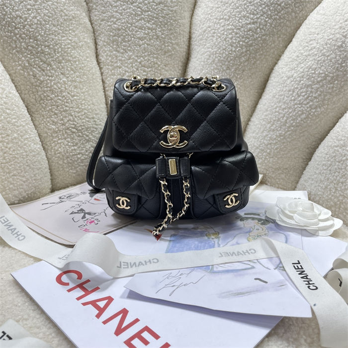 Chanel SMALL BACKPACK Calfskin LB14909 (1)
