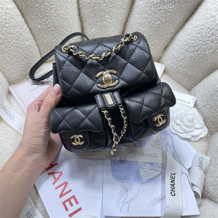 Chanel SMALL BACKPACK Calfskin LB14909 (2)
