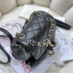 Chanel SMALL BACKPACK Calfskin LB14909 (4)