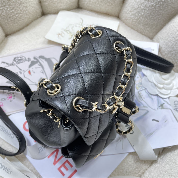 Chanel SMALL BACKPACK Calfskin LB14909 (4)