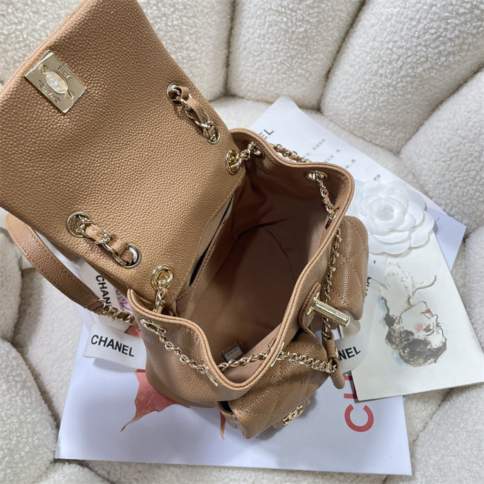 Chanel SMALL BACKPACK Grained Shiny Calfskin LB12509 (3)