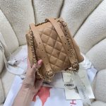 Chanel SMALL BACKPACK Grained Shiny Calfskin LB12509 (4)
