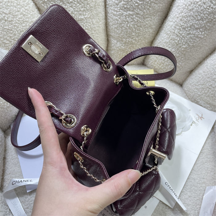 Chanel SMALL BACKPACK Grained Shiny Calfskin LB14904 (5)