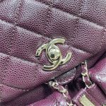 Chanel SMALL BACKPACK Grained Shiny Calfskin LB14904 (6)