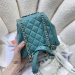 Chanel SMALL BACKPACK Grained Shiny Calfskin LB14907 (3)