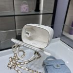 Chanel Small VANITY Lambskin LB14195 (4)