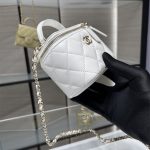 Chanel Small VANITY Lambskin LB14195 (5)