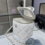 Chanel Small VANITY Lambskin LB14195 (6)