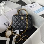 Chanel Small VANITY Lambskin11410 (1)