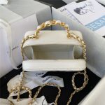 Chanel Small VANITY Lambskin11411 (2)