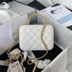 Chanel Small VANITY Lambskin11411 (3)