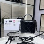 Chanel Small VANITY Lambskin14602 (2)