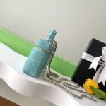 Chanel VANITY Grained Calfskin LB16259 (2)