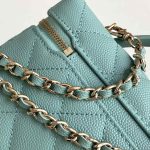 Chanel VANITY Grained Calfskin LB16259 (6)