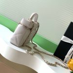 Chanel VANITY Grained Shiny Calfskin LB21731 (2)