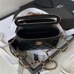 Chanel VANITY Lambskin LB13219 (4)
