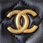 Chanel VANITY Lambskin LB13219 (6)