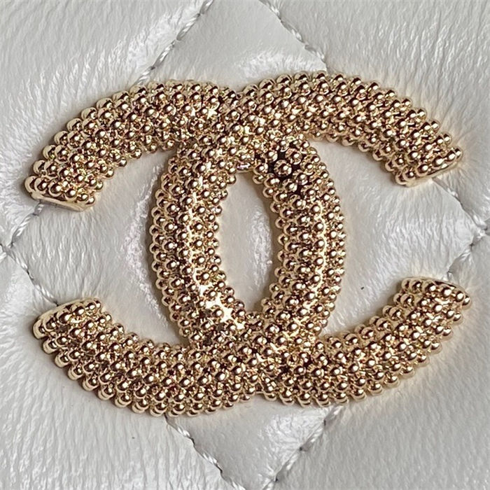 Chanel VANITY Lambskin LB15583 (5)