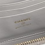 Chanel VANITY Lambskin LB15585 (6)