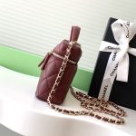 Chanel VANITY Lambskin LB15798 (3)