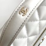 Chanel VANITY Lambskin LB15799 (5)